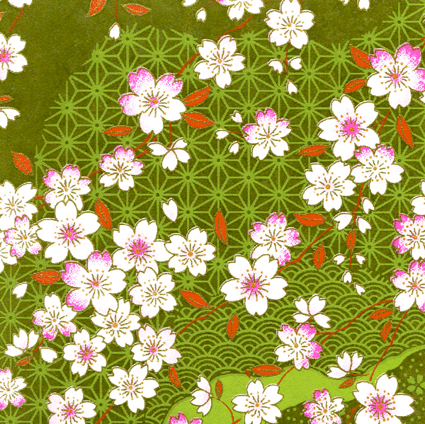 Papier japonais Sakura – Fleurs de cerisier sur fond vert olive –