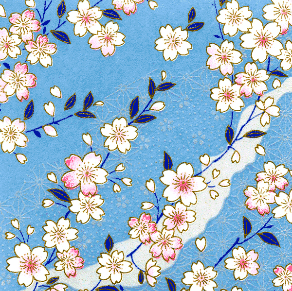 Papier japonais Sakura – Fleurs de cerisier sur fond bleu ciel –