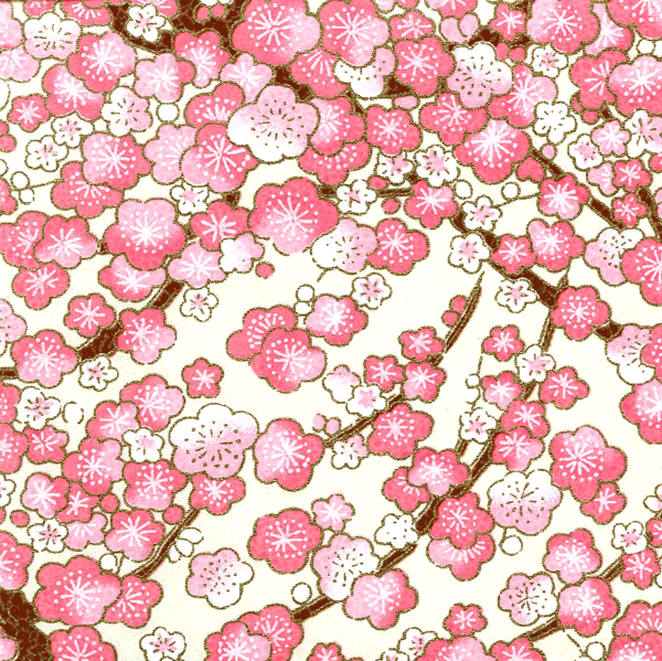 Papier japonais Ume – Fleurs de prunier roses sur fond crème –