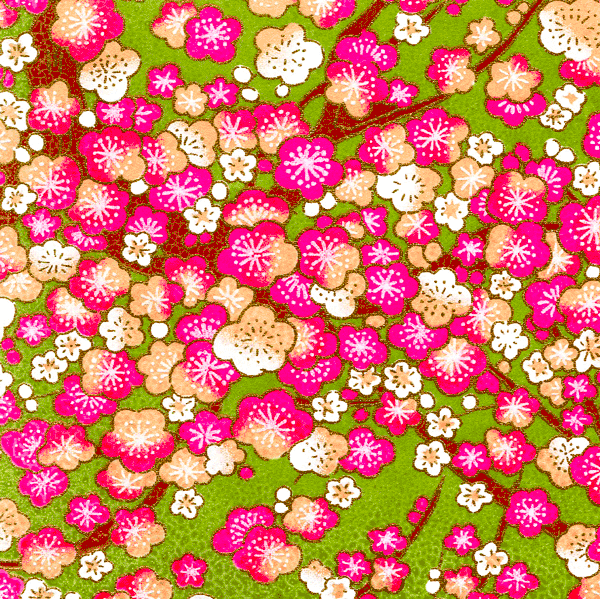 Papier japonais Ume -Fleurs de prunier fuchsia sur fond vert-
